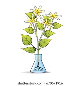  glass flask with flower plant in color-vector drawing