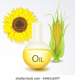 Glass flask with yellow liquid andsunflower, corncob on a white background. Ripened head of corn with leaves and sunflower. Oil in a glass bottle. Vector illustration
