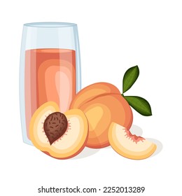 Glass of fresh peach juice isolated on white background. Vector illustration