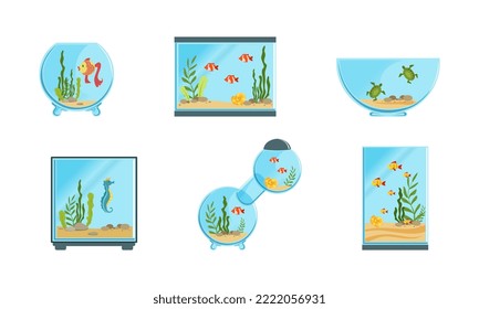 Acuario de agua dulce de vidrio Tanks Types with Algae and Floating Fish Vector Set