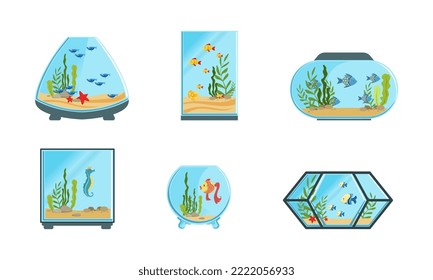 Aquarium-Tanks aus Glas mit Algen und schwimmendem Fisch-Vektorset