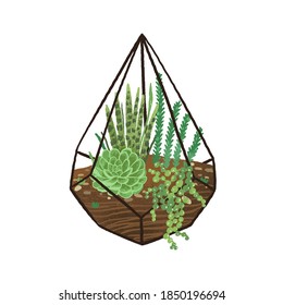 Florario geométrico de vidrio con suculentos verdes de estilo escandinavo moderno. Terrario en forma de diamante con plantas desérticas. Ilustración de dibujos animados de vector plano. Mini jardín aislado en un fondo blanco