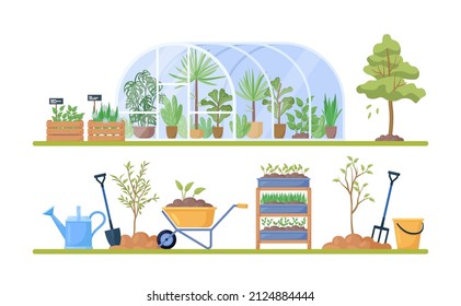 Glass green house with garden equipment or plants collection, wooden boxes with herbs, wheelbarrow, watering pot, shovel. Plants growing in pots inside glass greenhouse. Hothouse eco farm agriculture