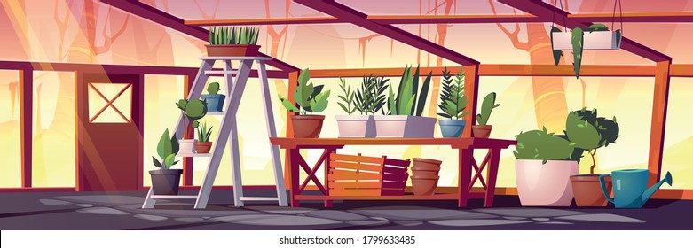 Glass greenhouse with plants, trees and flowers. Vector cartoon interior of empty hot house for cultivation and growing garden plants in pots. Botanical nursery for greenery