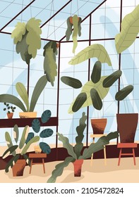 Glass greenhouse with potted green plants. Winter garden in glasshouse with many houseplants growing in planters. Conservatory interior. Modern urban jungle. Colored flat vector illustration