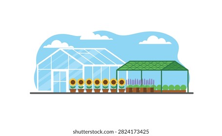 Glass greenhouse structure surrounded by blooming sunflowers and rows of potted lavender plants under a bright blue sky with fluffy white clouds.