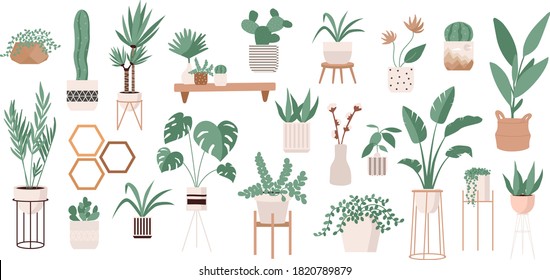 Glass greenhouse with tropical plants. Botanical home garden. House plants and flowers in pots. Gardening elements. Winter garden. Crazy plant lady hand drawn print cactus, tropical leaves. 