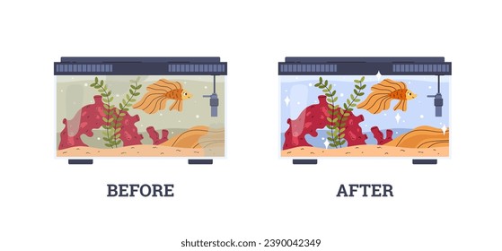 Glass home aquarium with gold fish, corals and seaweed. Before and after cleaning. Cartoon aquarium marine fauna maintenance, aquatic pet care. Vector illustration isolated on white background