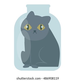 Glass jar with cat design delicious beverage drink funny concept