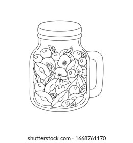 Glass jar with fruits. Healthy eating Snack. Contour image. Elements for decoration. Vector illustration.