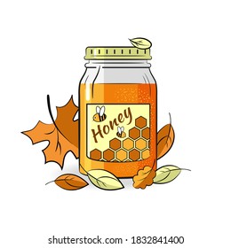 Glass jar with honey surrounded by autumn leaves. Vector isolated on a white background.