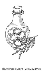 Glass jar with olives inside and an olive sprig. olives in black and white hand drawn style with shading. Olives made in ink. Illustration of olives on a transparent background. Black outline of olive