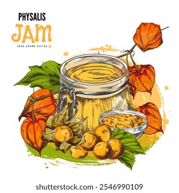 Frasco de vidro com Physalis geleia planta, folhas e esboço de bagas. Produto de frutos de groselha espinhosa ou de goldenberry desenhado à mão. Comida doce de fazenda. Design de etiqueta floral de natureza de outono na mancha de aquarela