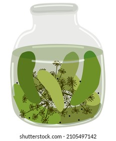 Glass jar of pickled cucumbers with dill and peppercorns. Vector isolated illustration.