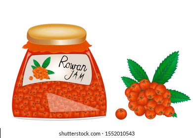 Glass jar with rowan jam isolated on white background. Jar of marmalade from juicy red mountain ash. Fresh berries with leaves. Organic food. Label mockup for jam. Stock vector illustration