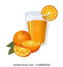 Glass of juice with orange slices and fresh oranges beside the glass. Citrus drink. Vector illustration