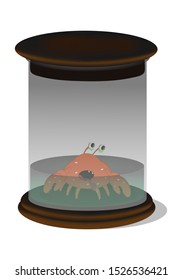 glass laboratory container for storing experimental samples with a crab inside. Vector illustration. Isolate on a white background.