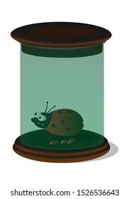 glass laboratory container for storing experimental samples with a ladybug inside. Vector illustration. Isolate on a white background.