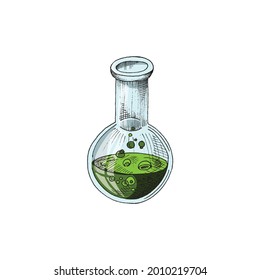 Glass laboratory round flask with green liquid, sketch style vector illustration isolated on white background. Chemical equipment for experiments, tests and analyzes