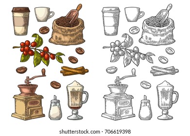 Glass latte, sack, beans, wooden scoop, hand-held coffee grinder, sugar, scoop, cinnamon stick, branch with leaf and berry. Vintage color vector engraving illustration isolated on white background