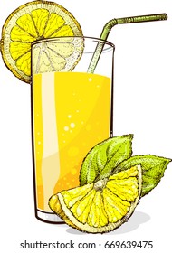 A glass of lemonade with pieces of lemon. Vector drawing.