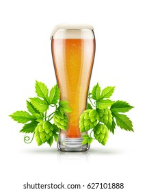 Vidrio de cerveza de lager ligera con espuma blanca y brotes de plantas de lúpulo, hojas verdes. Ingrediente natural orgánico de malta para la producción de cerveza artesanal en las cervecerías. Ilustración vectorial aislada Eps10.