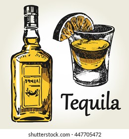 Glass, lime and bottle of tequila.  Hand drawn color sketch of alcoholic cocktail. Vector illustration