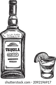 Glass, lime and bottle of tequila.  Sketchy hand-drawn vector illustration.