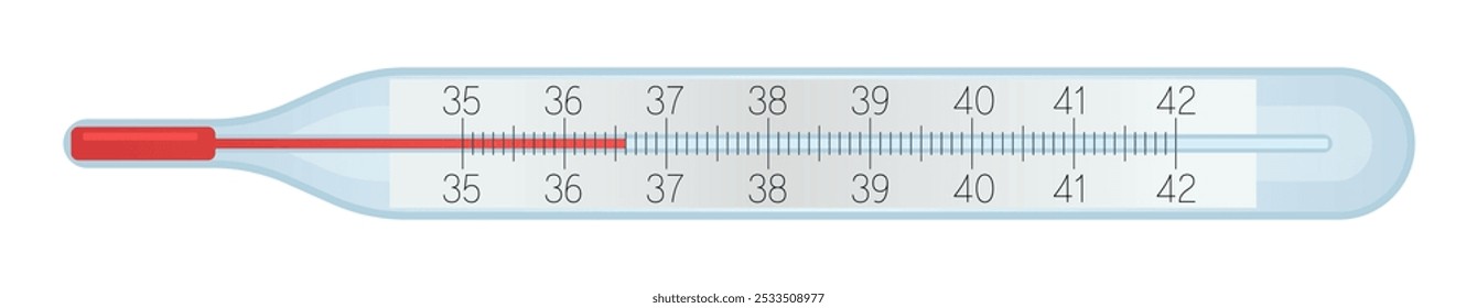 Glass mercury Thermometers with temperature measurent on celcius scale, 36.6 degrees. Cold diagnostic, covid symptoms, flu fewer concept.