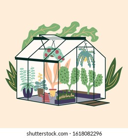 Glass modern greenhouse with garden plants. Garden curly ivy and flower pots. Winter glass garden, house greenhouse with plantation. The room is in green. Gardening on the plot. Vector 