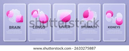 Glass morphism human organs vertical mobile pages on gray background. Vector medicine health information template set