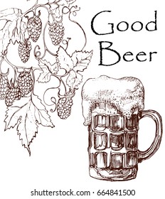 glass mug of beer , a branch of hops , freehand drawing