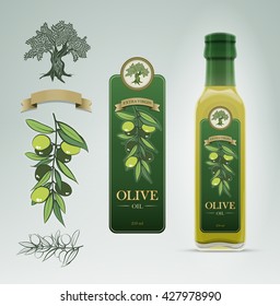 Glass oil olive bottle and label design template. Detailed vector illustration. Easy editable.