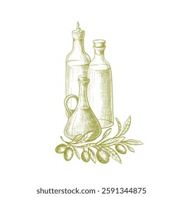 Glass olive oil bottle. Vintage branch and leaves, green fruits. Hand drawn vector sketch. Texture botanical illustration for package and food design. Extra virgin. Engraving style