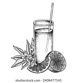 Glass of Orange Fruit Juice. Vector hand drawn illustration of fresh citrus beverage with slices and flowers in linear style. Black engraved drawing of summer tropical drink with cocktail tube.