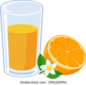 Glass of orange juice and orange fruit. Vector illustration