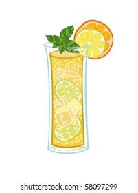 Glass of orangeade decorated with peppermint and lemon/orange slices