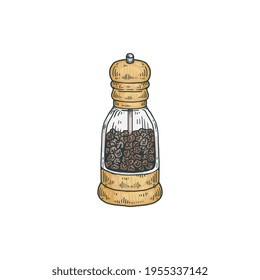 Molino de pimienta de vidrio con tapa giratoria, grabando ilustración vectorial aislada.