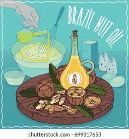Glass Pitcher of Brazil nut oil and fruits and seeds of Bertholletia excelsa plant. Hand pouring oil into bowl. Natural vegetable oil used for cooking. Vector illustration