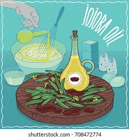 Glass Pitcher of Jojoba oil and seeds of Simmondsia chinensis plant. Hand pouring oil into bowl. Natural vegetable oil used for cooking. Vector illustration