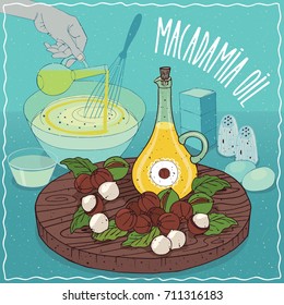 Glass Pitcher of Macadamia oil and Macadamia nuts. Hand pouring oil into bowl. Natural vegetable oil used for cooking. Vector illustration