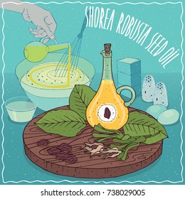 Glass Pitcher of Shorea robusta seed oil and leaves and seeds of Shorea robusta plant. Hand pouring oil into bowl. Natural vegetable oil used for cooking. Vector illustration