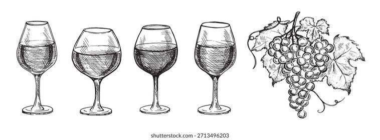 glass set and grape hand drawn graphic illustration