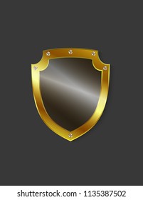 Glass shield icon