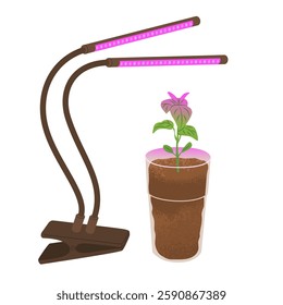Glass with soil and pepper sprout illuminated by special ultraviolet lamp. Growing home garden. Farm planting, growing crops. Vector illustration isolated on transparent background.