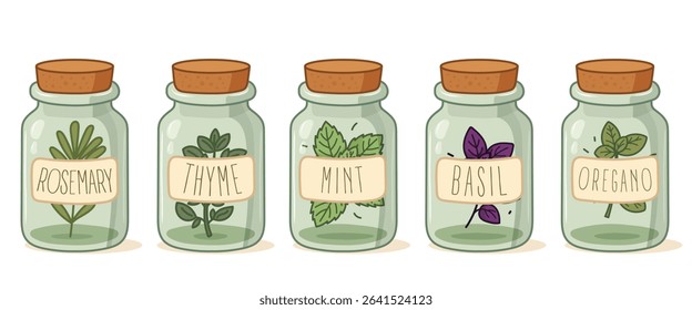 Glass spice jars with rosemary, thyme, mint, basil and oregano