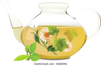 Glass teapot.  All elements and textures are individual objects. Vector illustration scale to any size.