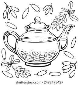Glass teapot, barberry. Hand drawn vector illustration in outline style.
