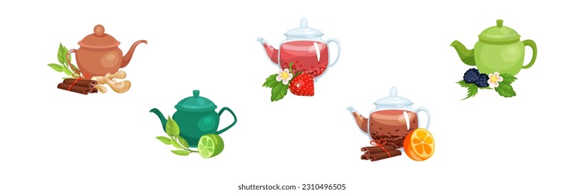 Glass Teapot with Herbal and Berry Tea Brewing Vector Set