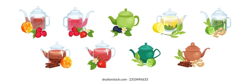 Glass Teapot with Herbal and Berry Tea Brewing Vector Set